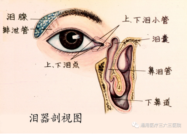 健康界：暖心守护祖国未来的花朵 三六三医院眼科值得拥有(图5)